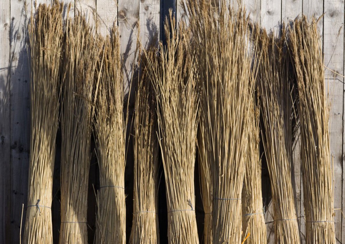 Thatching Material Tools & Materials Used in Traditional Thatching - Jchallis Master Thatcher